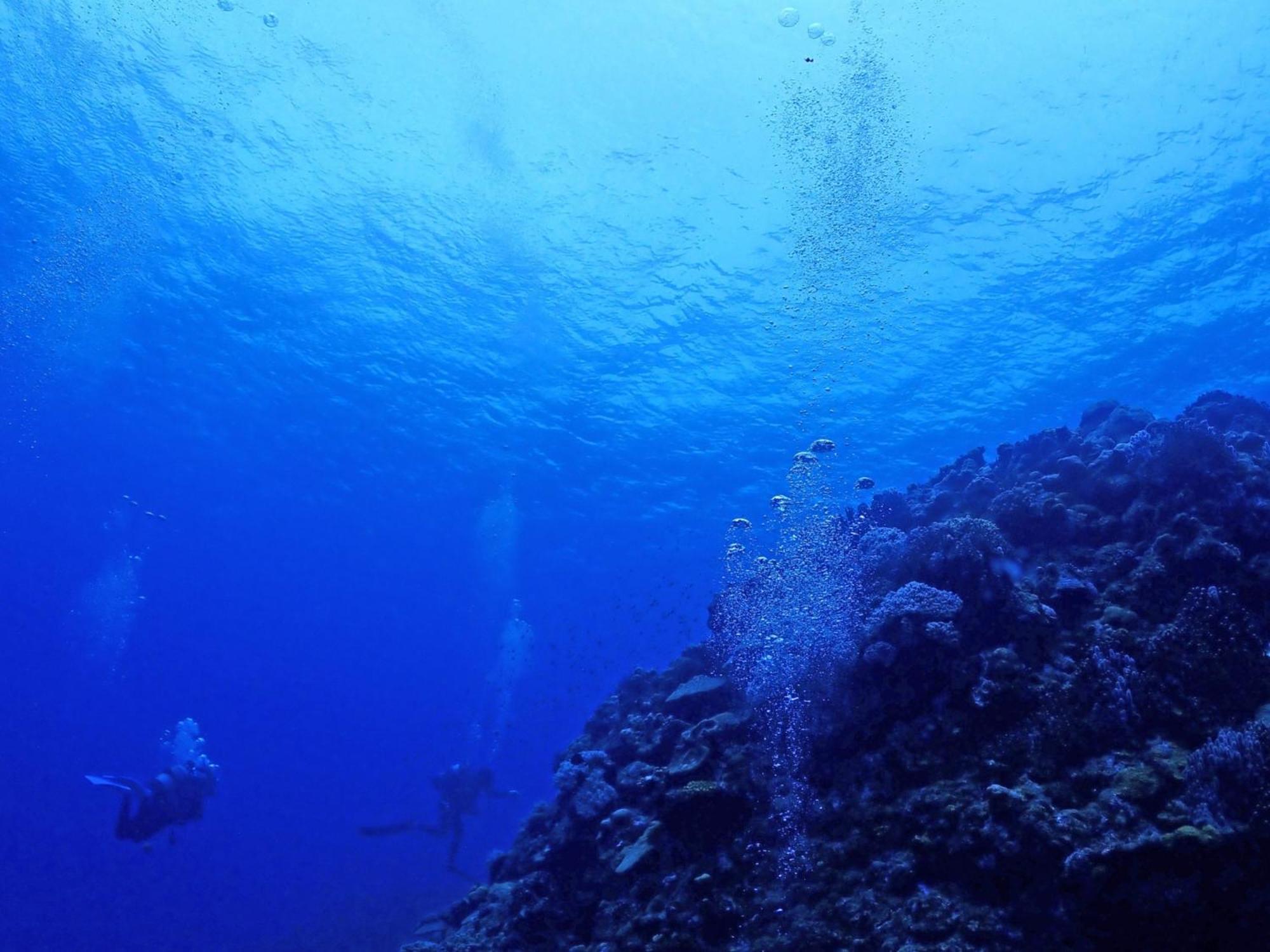 石垣島グループの宿 2216 にじいろ ユーグレナモール内 Ishigaki  Exteriör bild